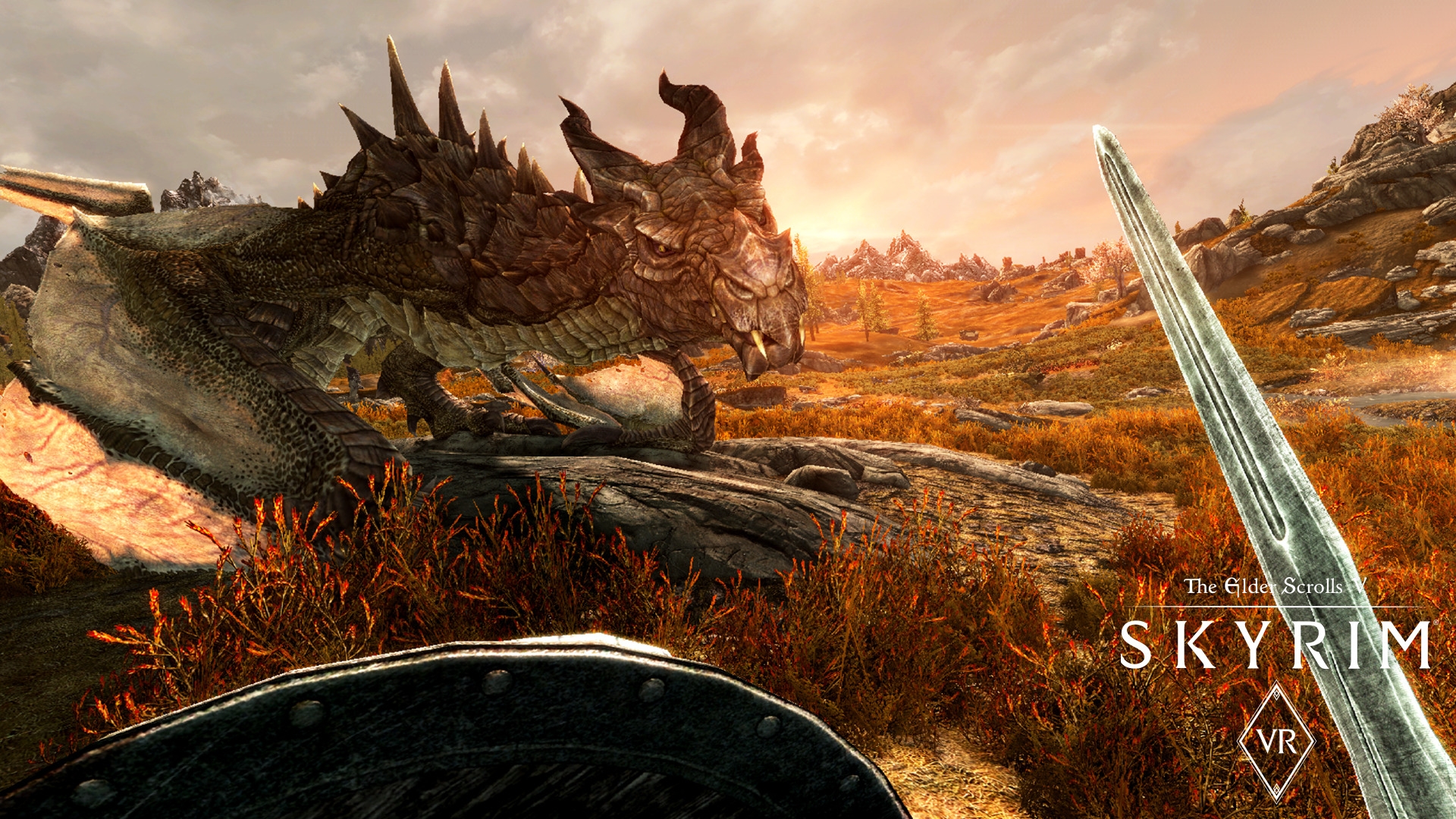 VR The Elder Scrolls V Skyrim 3 