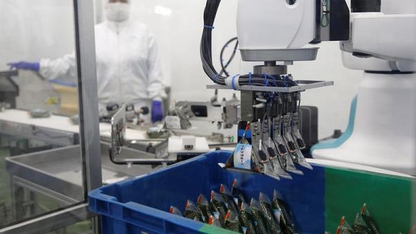 Японские компании видят большие возможности в небольших промышленных роботах — коботах"