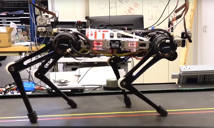 Видео дня: робот Cheetah 3 демонстрирует различные стили движения"