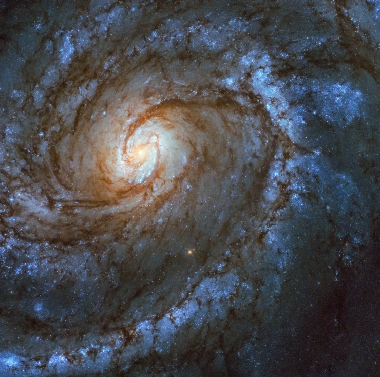 Фото дня: спиральная галактика в созвездии Волос Вероники"