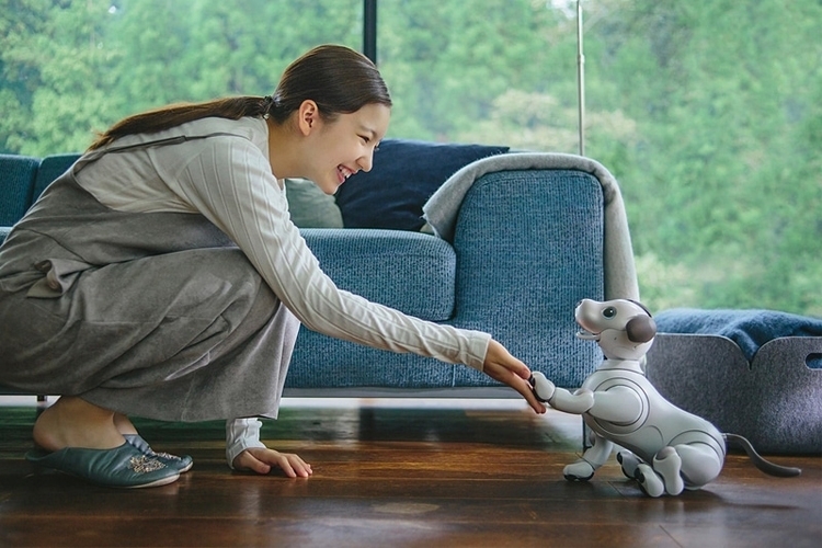 Робопса Sony aibo наделят обязанностями секьюрити"