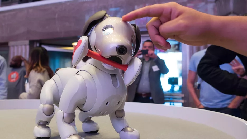 Новая игрушка расширит способности робота-собаки Sony Aibo"