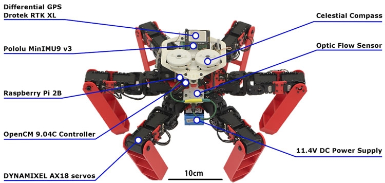 Учёные создали робота-муравья с полностью автономной навигацией без GPS"
