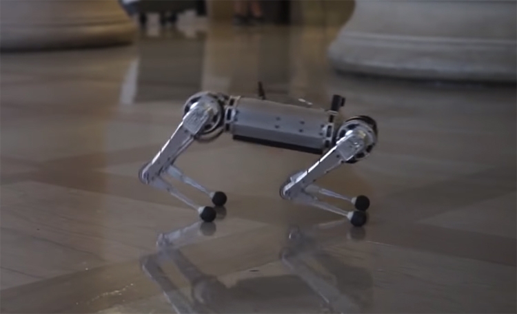Видео дня: сальто назад в исполнении робота-гепарда"