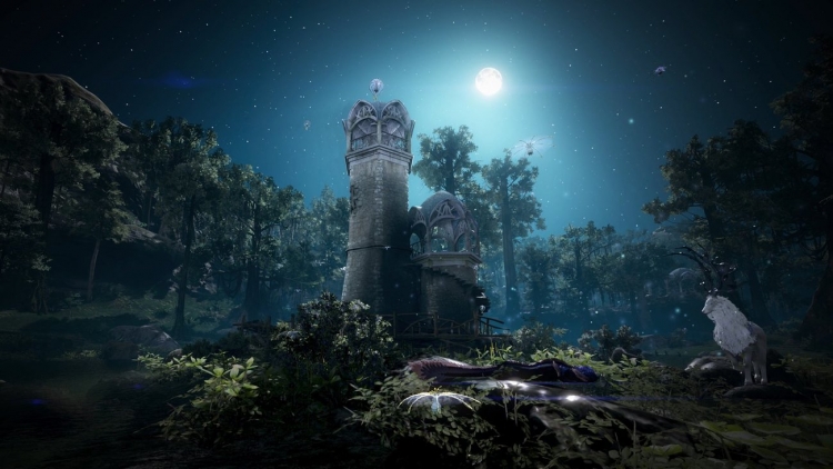 Видео: трейлеры к запуску MMORPG Black Desert на Xbox One