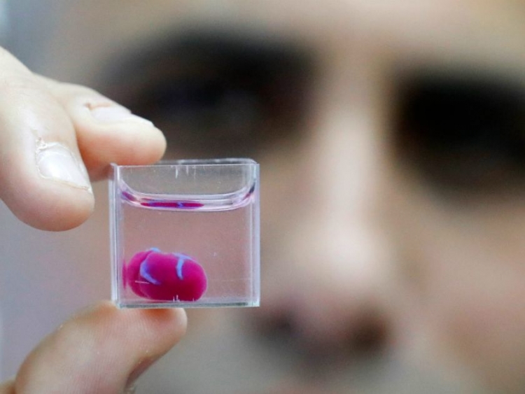 Учёные из Израиля напечатали живое сердце на 3D-принтере"