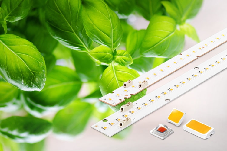 Samsung повышает эффективность светодиодов для выращивания растений"