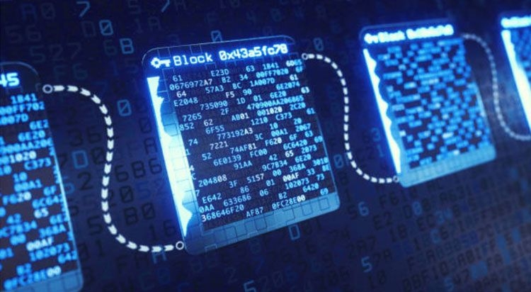 Cryptopys