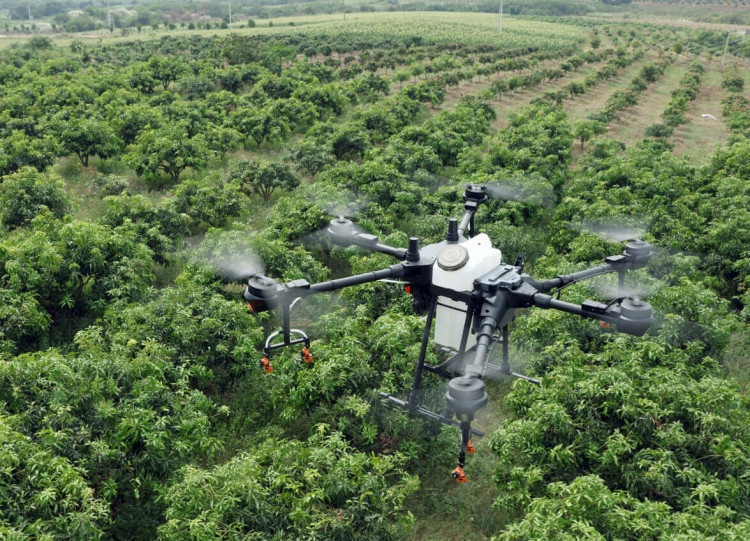 DJI представила новые сельскохозяйственные дроны и услуги для промышленных клиентов"