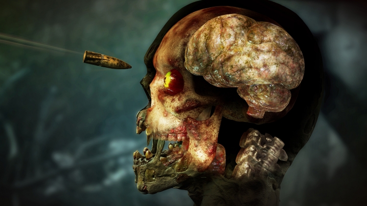 Шутер Zombie Army 4: Dead War поступит в продажу 4 февраля 2020 года. Подробности изданий