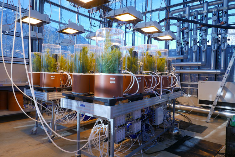  Plant Ecophysiology Lab, KIT 