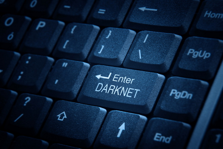 darknet интересные сайты
