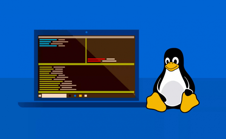 В чем разница программирования под windows и linux