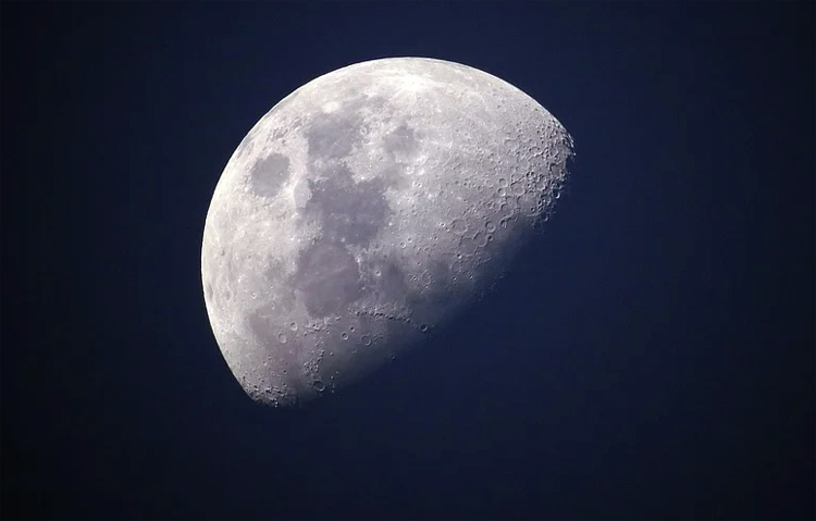 Мыши на «Орле»: российские учёные планируют отправить к луне пассажиров