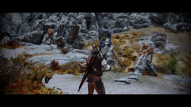 skyrim player only animations