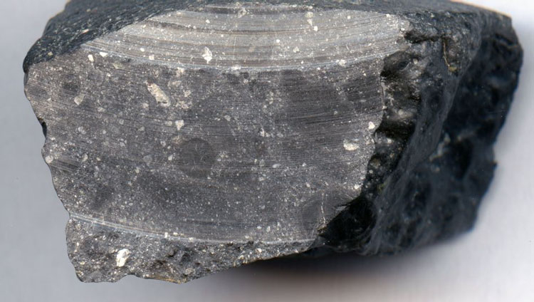  «Чёрная красавмца». Марсианский метеорит NWA 7533. Источник изображения: NASA/Luc Labenne 