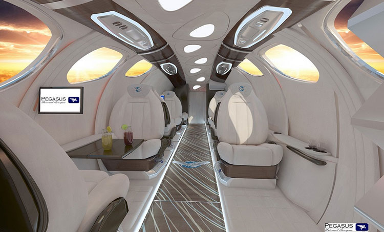 Pegasus Vertical Business Jet Pegasus Vertical Business Jet