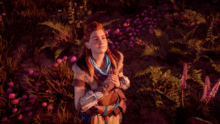 Fidelity fx cas horizon zero dawn что это