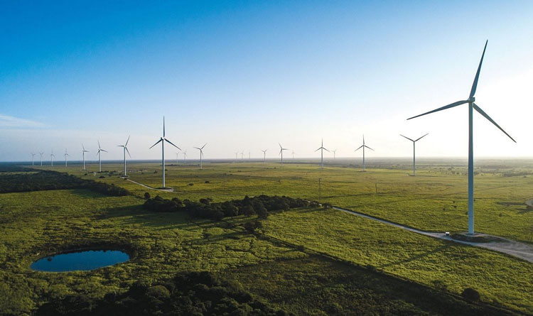 В Украине скоро начнут сроить две крупнейшие в Европе ветряные электростанции