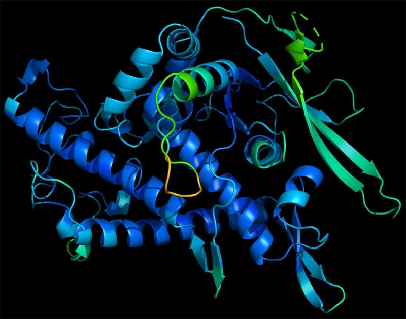  роблема восстановления трёхмерной структуры белков является одной из самых сложных вычислительных задач (источник изображения: independent.co.uk) 