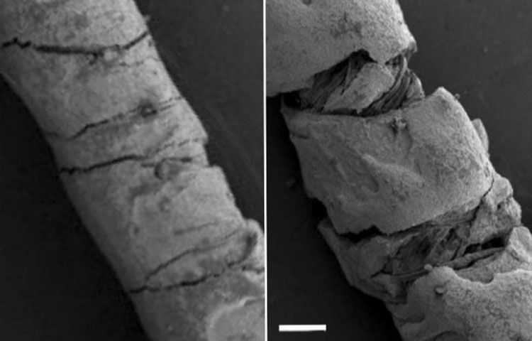 Нитки Нитки