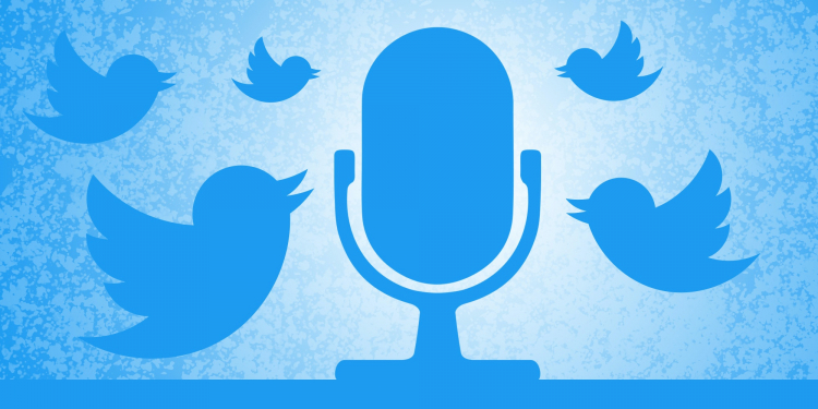 Twitter планирует масштабный запуск голосовых чатов Spaces в апреле
