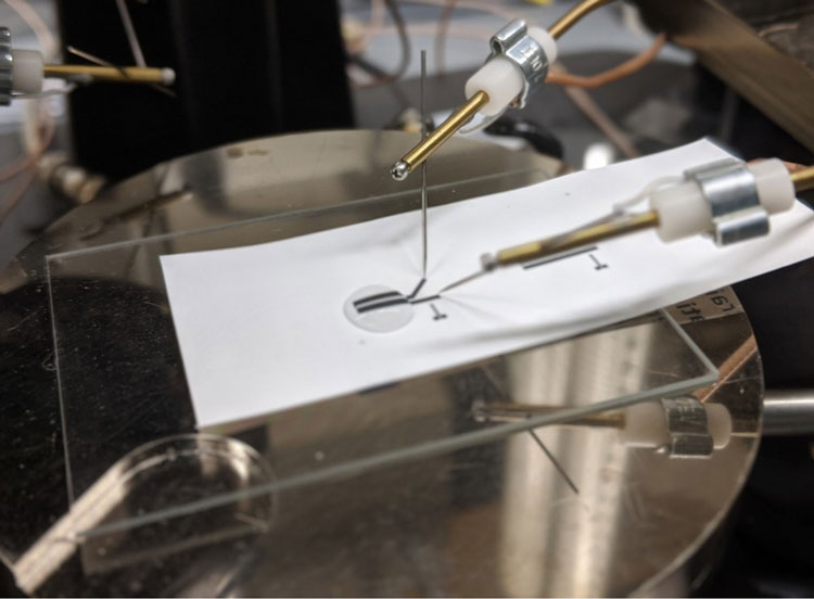 Испытания печатного транзист ора в составе биодатчика. Источник изображения: Duke University