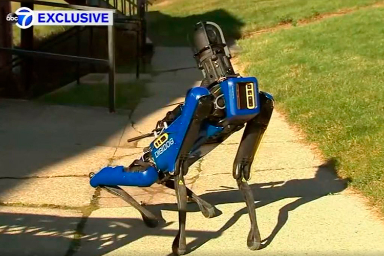 Полиция Нью-Йорка уволила робопса Boston Dynamics — люди его боялись