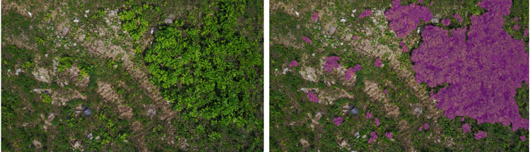  Входное изображение (слева) и результат работы предложенной полностью сверточной нейронной сети (справа). Источник изображения: Сколтех 