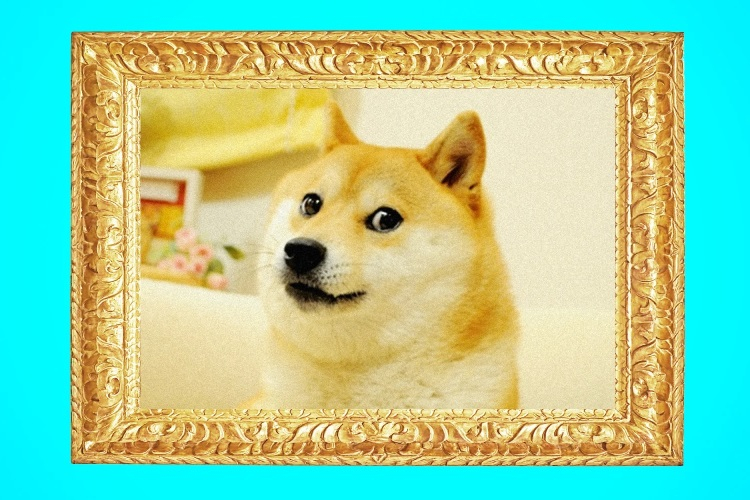Знаменитый интернет-мем Doge с изображением пса сиба-ину продан в виде NTF за $4 млн