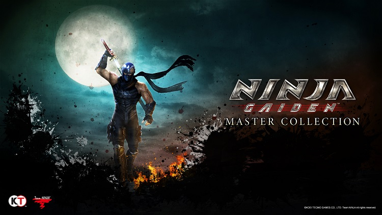 Источник изображения: Team Ninja