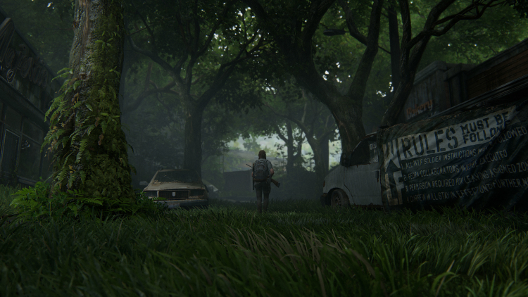 The Last of Us Part II, источник изображения: Naughty Dog 