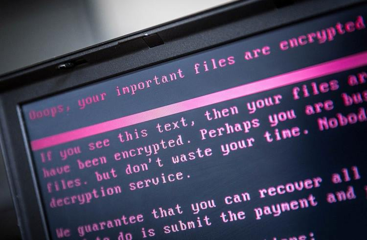 США попросили Amazon, Google и Microsoft помочь в борьбе с вирусами-вымогателями и другими киберугрозами