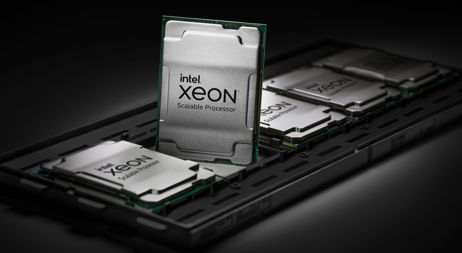 TrendForce: Intel продолжит доминировать на серверном рынке, а к концу года доля Xeon Ice Lake-SP превысит 30 %
