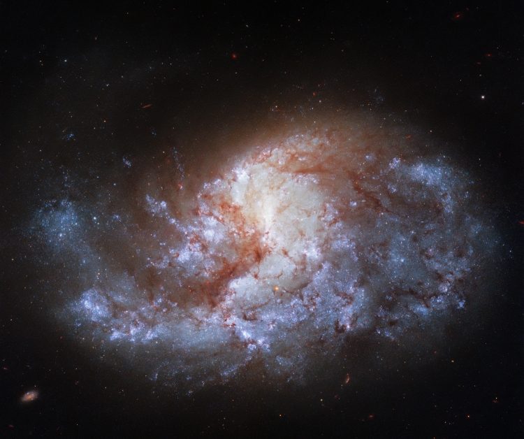 Фото дня: галактика в сердце космической Печи