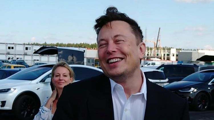 musk_01.jpg