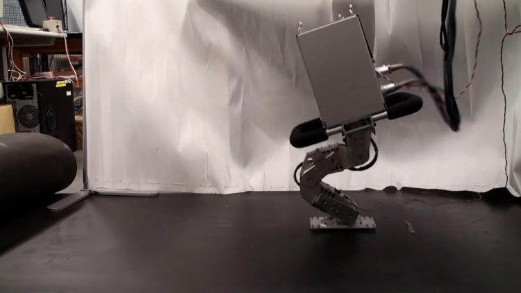 В Японии создали недорогого одноногого робота, который способен удержаться на качающейся поверхности