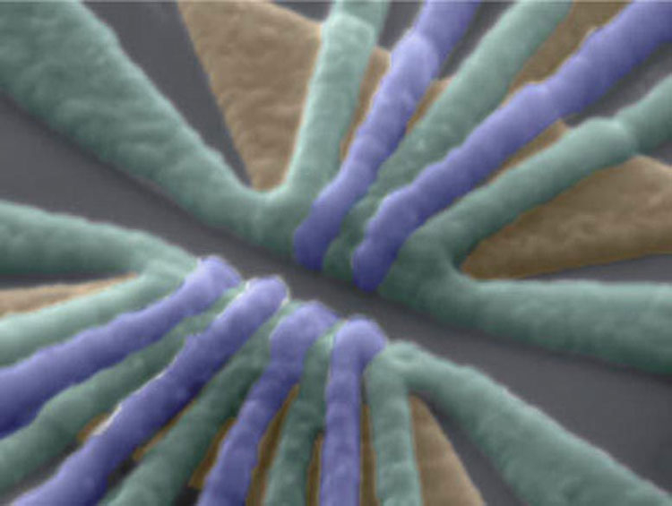 Aluminum shutters (purple and green) under an electron microscope. Image source: RIKEN