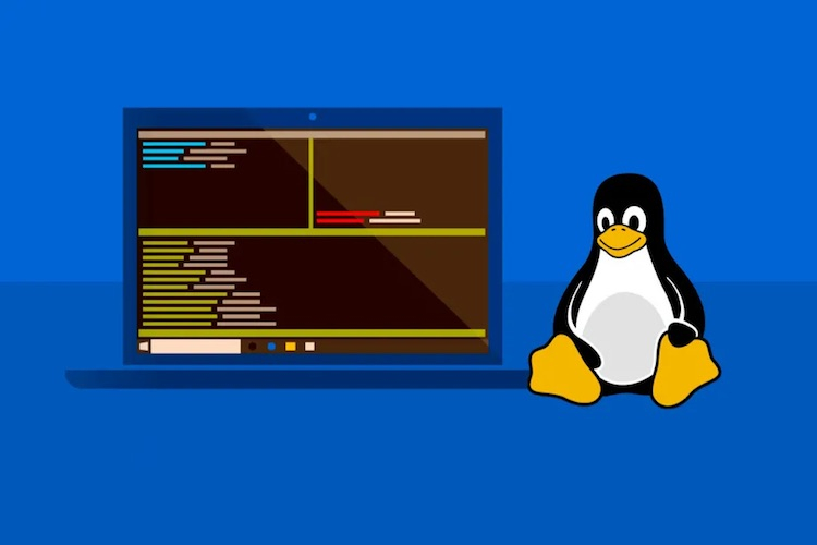 Microsoft превратила подсистему Windows для Linux в приложение для Windows 11