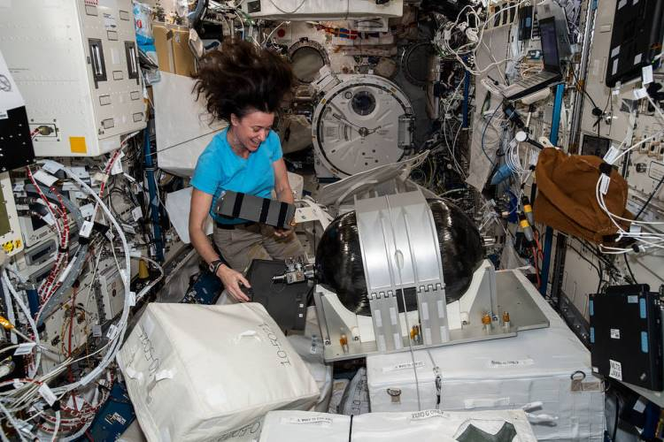 Астронавт NASA Меган МакАртур / Изображение: NASA