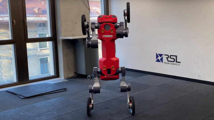Швейцарский четвероногий колёсный робот научился вставать на задние конечности
