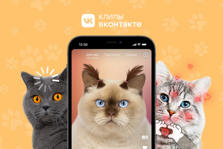 «ВКонтакте» выпустила AR-маски для котов — первыми их испытали питомцы Эрмитажа