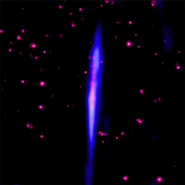  Изображение отдельной нити. Источник изображения: NASA/CXC/UMass/Q.D. Wang; Radio: NRF/SARAO/MeerKAT 