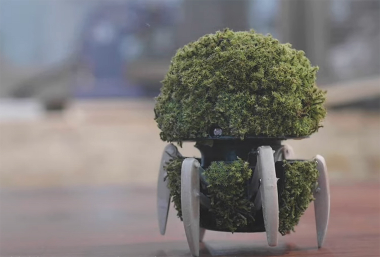 Panasonic представила маленького эко-робота Umoz, который «озеленит» обстановку в доме или офисе