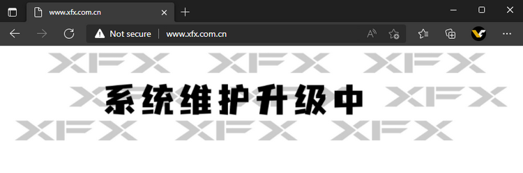  Сайт китайского филиала XFX не работает 