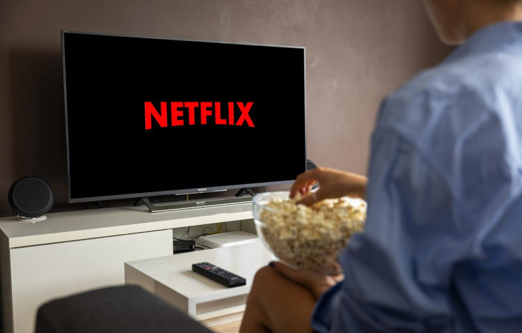 Netflix       $1   2022 