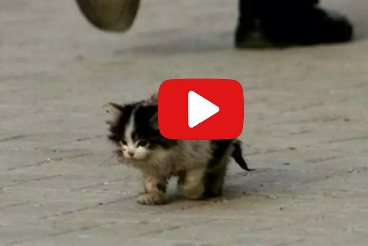 Слухи: YouTube в России заблокируют в ближайшее время — возможно, уже сегодня