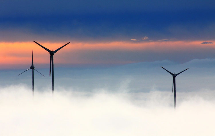 Ветер и Солнце заняли рекордную долю в выработке электроэнергии в мире в 2021 году — более 10 %