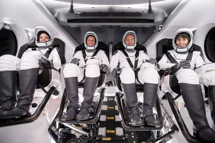  Экипаж миссии Crew-4 / Источник изображения: SpaceX 