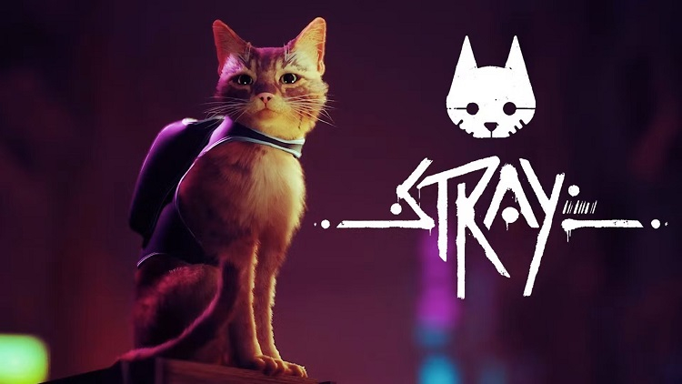 Кошачье приключение Stray получило возрастной рейтинг в Южной Корее
